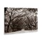 Stupell Industries Georgia Stroll Tree Tunnel Canvas, design by Nathan Larson